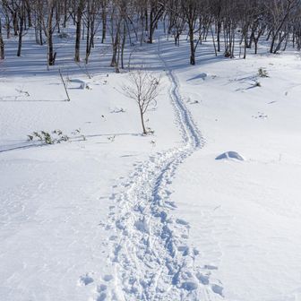 有り難く一級国道を使わせて頂きます🙇‍♂️