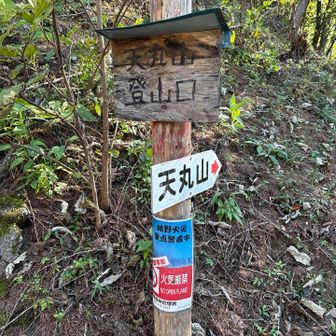 林道に到着