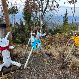 うさちゃんとシカちゃんもおめかし✨