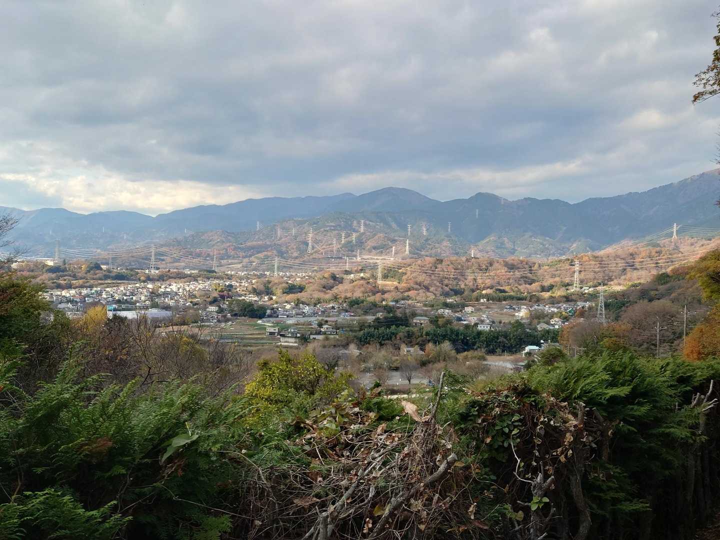 ビッグボス🗻は雲の中でした😵