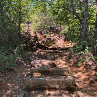 登山道らしい雰囲気
