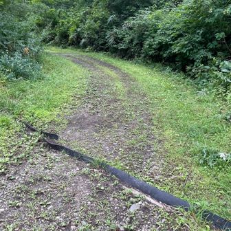 途中何度か林道を横切ります。