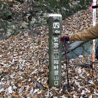 要所に案内が整備されています。