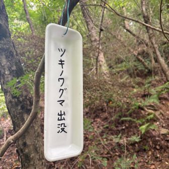 急坂（ベルンハルト）コースから登ったのですが、いきなりこのメッセージが。阪神間での出現は報道されていないので少し疑問です。