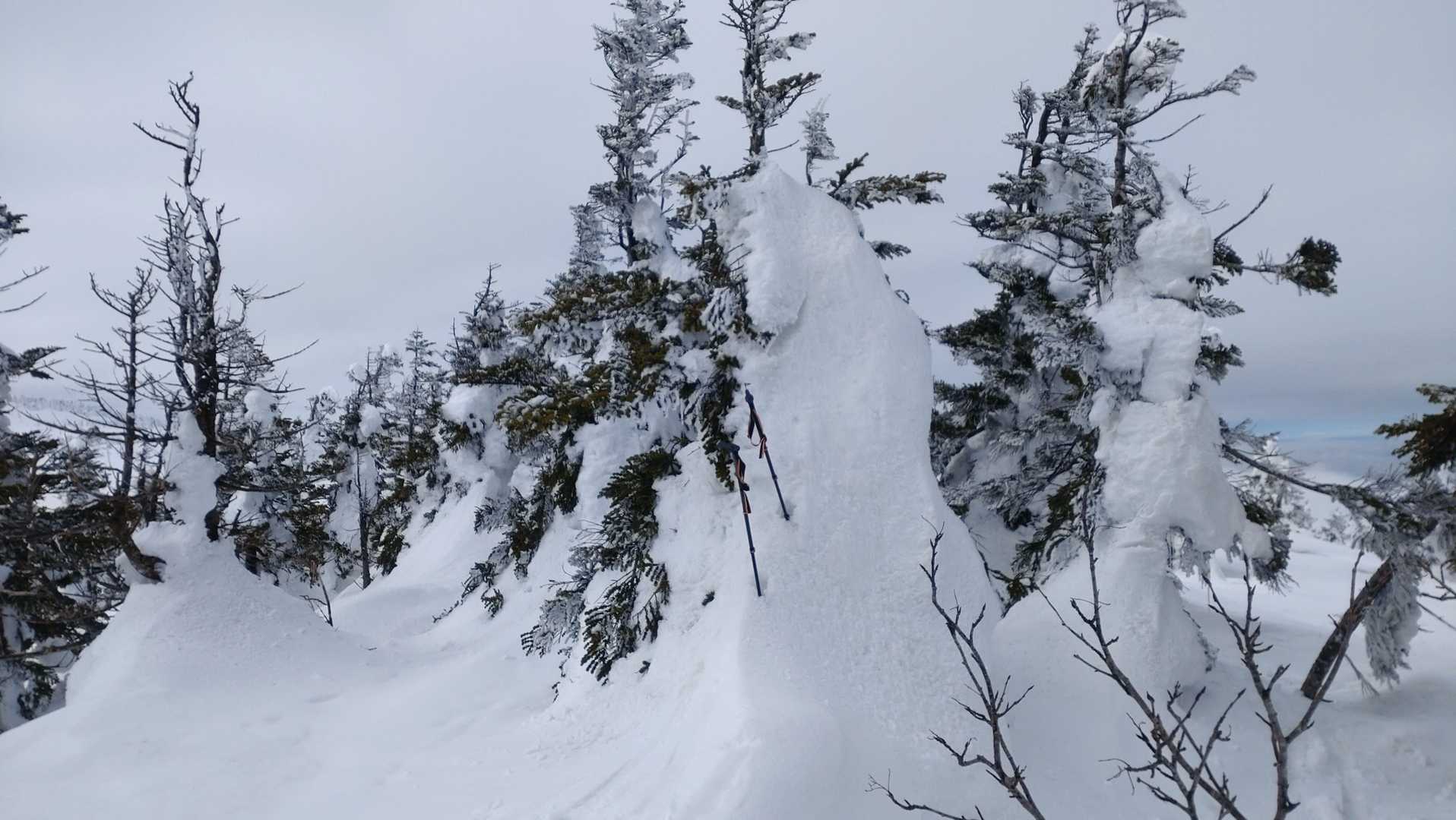 猿倉岳山頂
木が密生し雪面の起伏も大きいため迂回を強いられます。
ウィペットをぶっ刺している木に山頂の証と思しきピンクテープが巻かれてました。