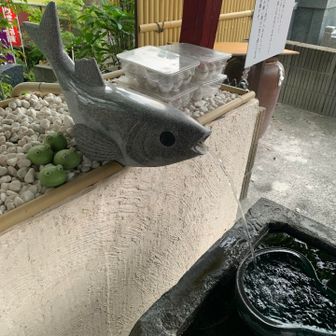 山歩き好き