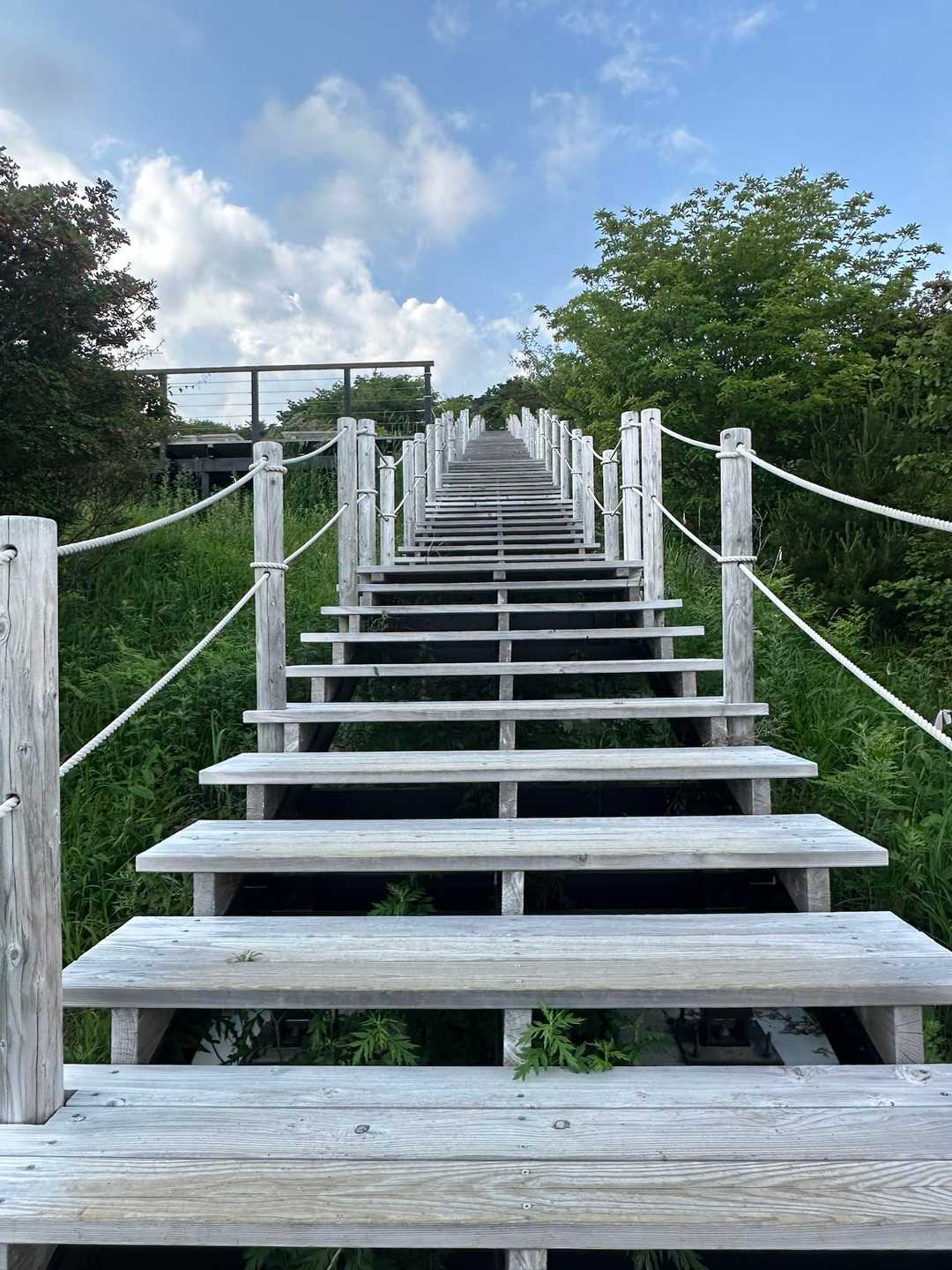 青空と白い階段がちょっと素敵🩵