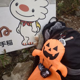 ていぬくんとハロウィーン飾り