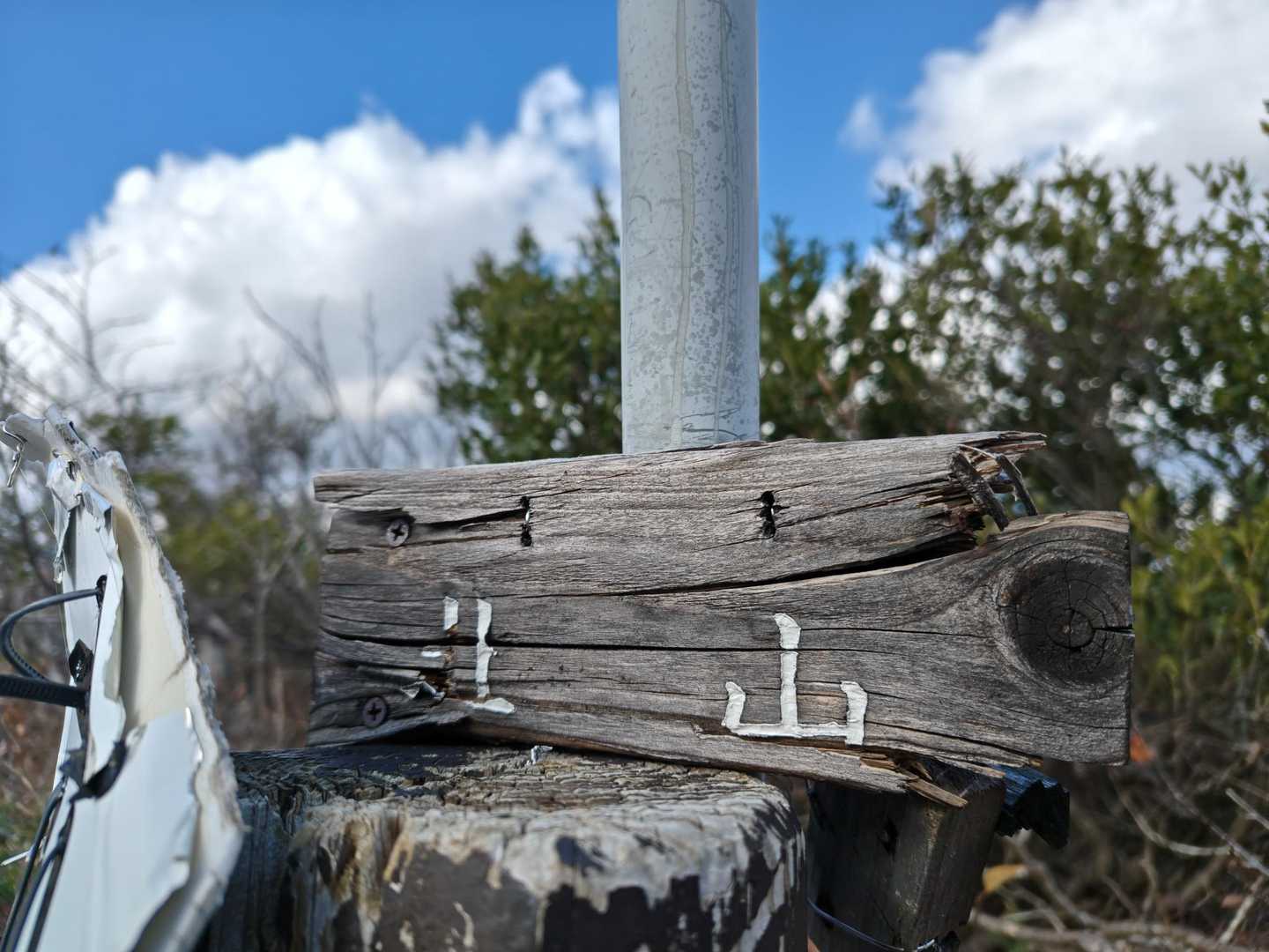 ⑪北山⛰️登頂
