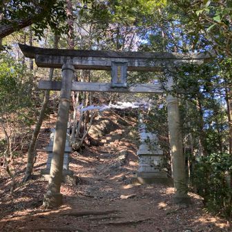 愛宕神社の鳥居