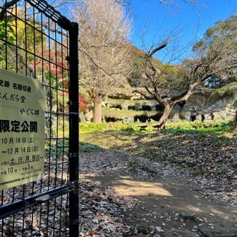 切通の途中にもうひとつの史跡
まんだら堂やぐら群
期間限定公開（一定期間内の月土日祝のみ開放）