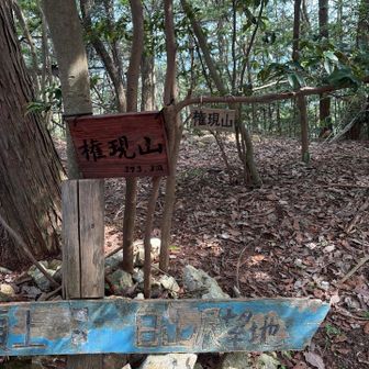 権現山