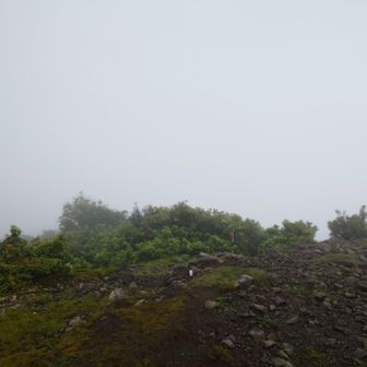 権現山
ガスガス