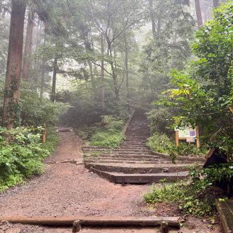 高尾山山頂下の階段。さて頑張って登るか～😂