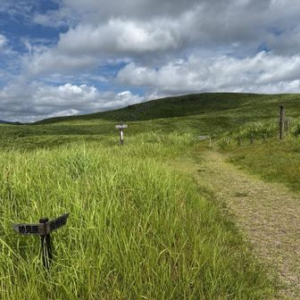 冠山を振り返る。