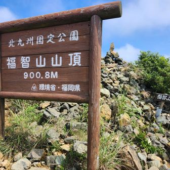 山頂到着。山頂の温度計では気温22℃の表示。体感はそこまで低くないけど吹く風は爽やか😃✨