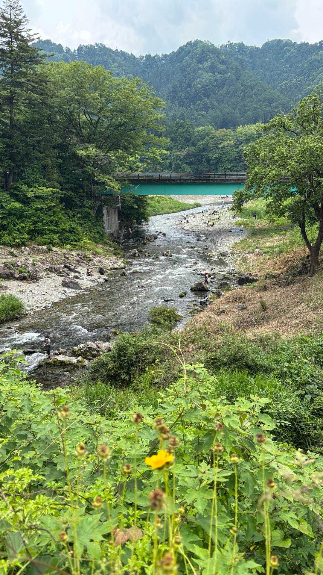 武蔵五日市駅-琴平神社-金比羅山-落合橋［あきる野市］バス 縦走コースの写真