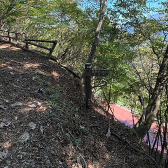 この辺りからは奥多摩周遊道路と並行して歩く登山道