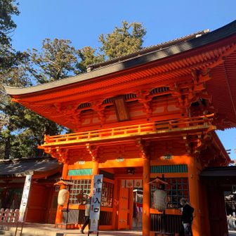 神社の朱、好きです♡