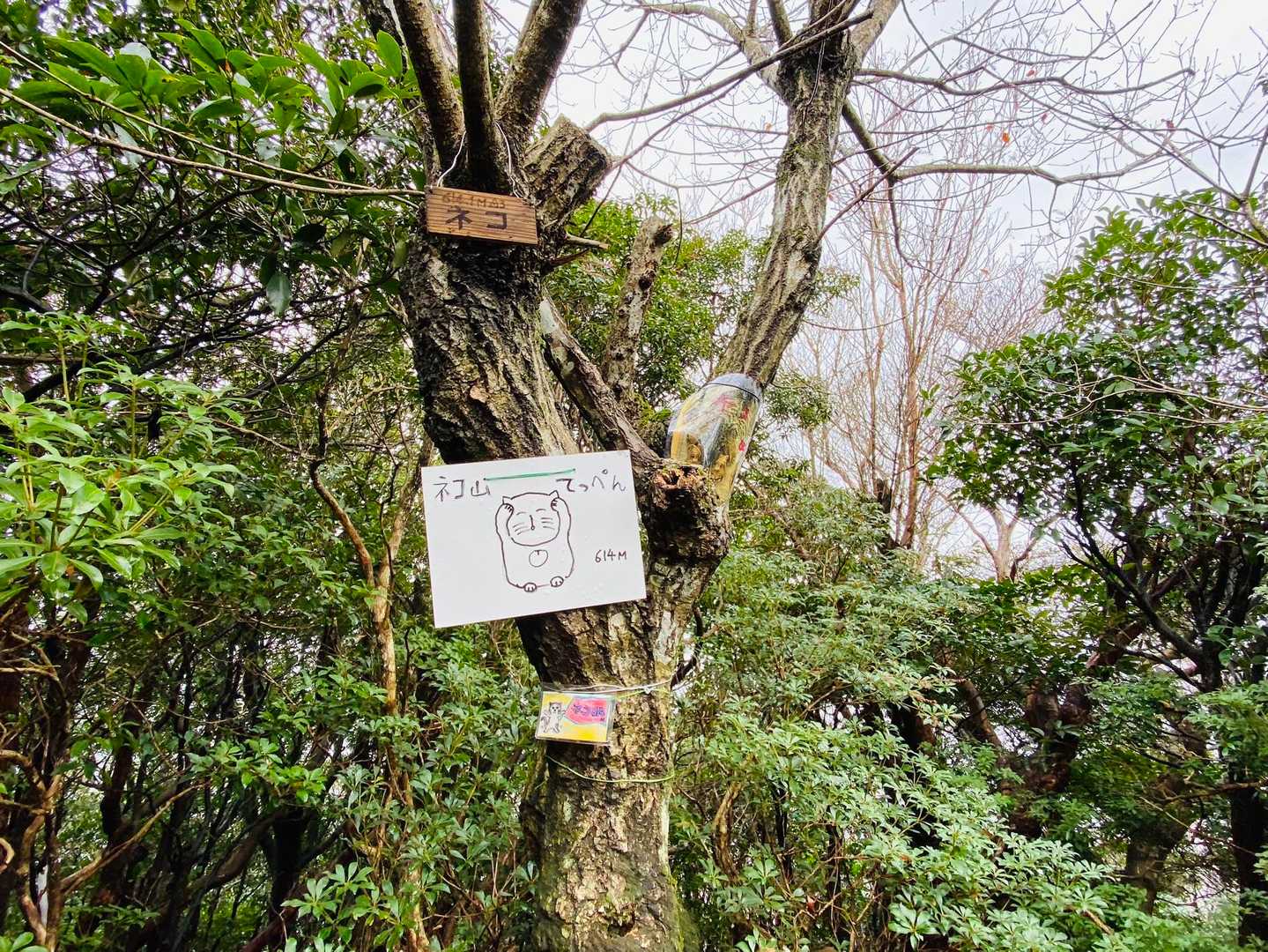 菰野富士登山口-ネコ最高点-ネコ-笠岳-菰野富士 周回コースの写真