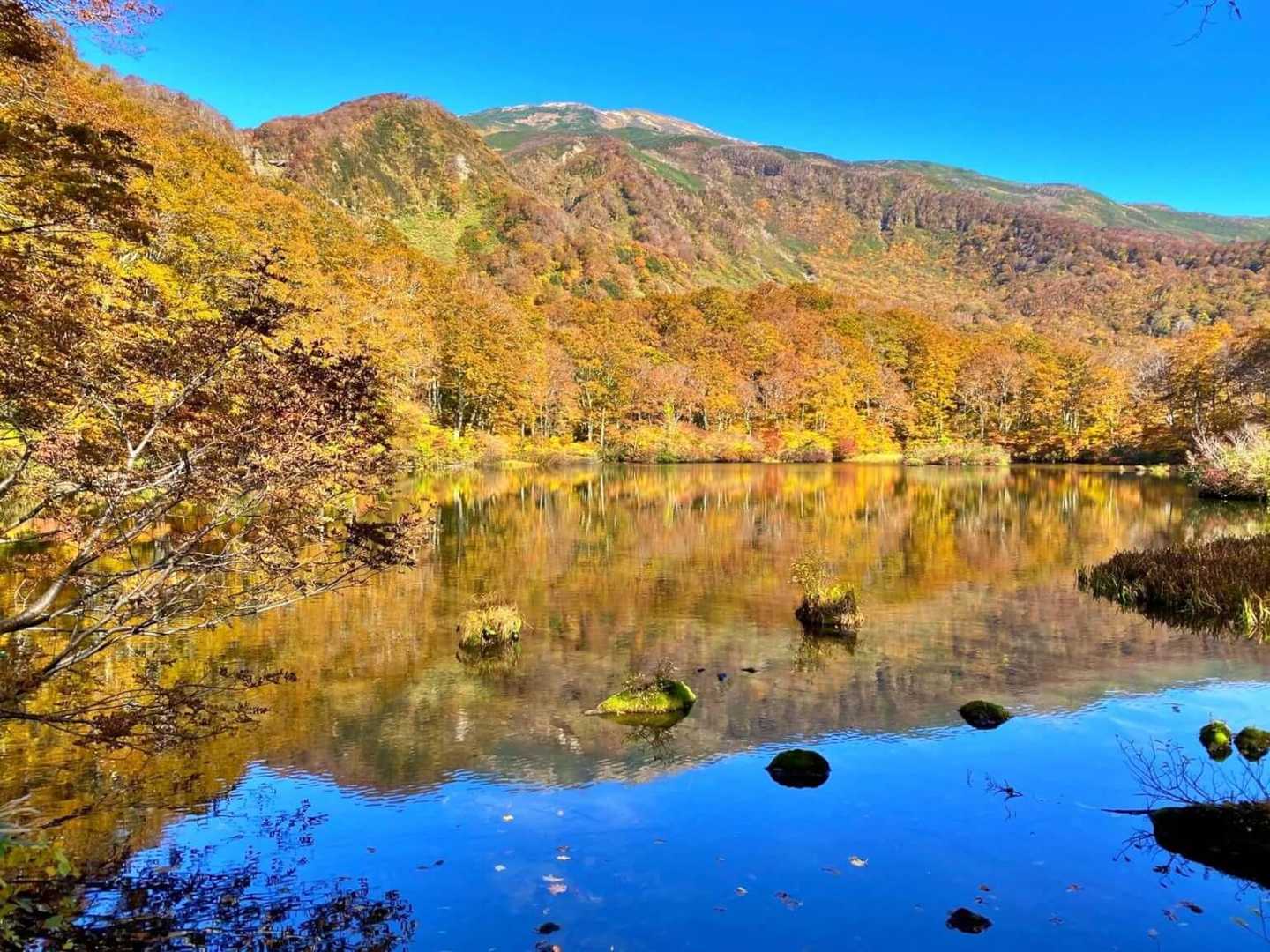 荒木橋口発着｜鳥海山が映る鶴間池往復コースの写真