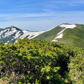 朝の出発前は、西朝日岳まで足を延ばそうかと話していましたが気温も高くなりそのまま下山することに(ホッとしました😂)