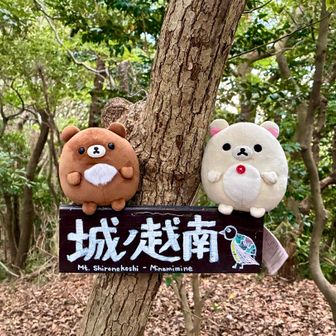 城ノ越山（南峰）…⛰️

三日月湖には下りずにピストンして長谷ダム記念公園を目指す…⛲️