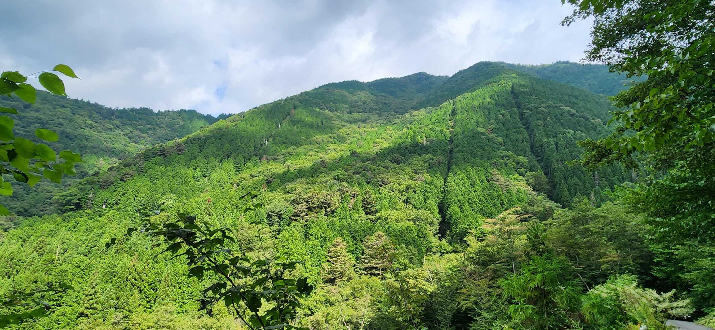 雲はある☁️がまだこの辺りは晴れている