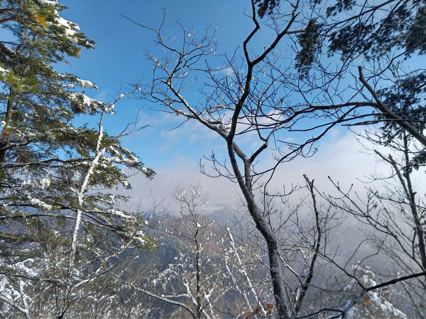 山頂からの展望