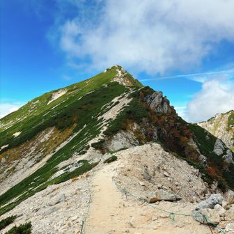 もうすぐ山頂