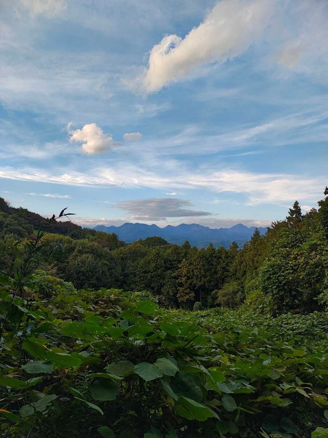 榛名山✨