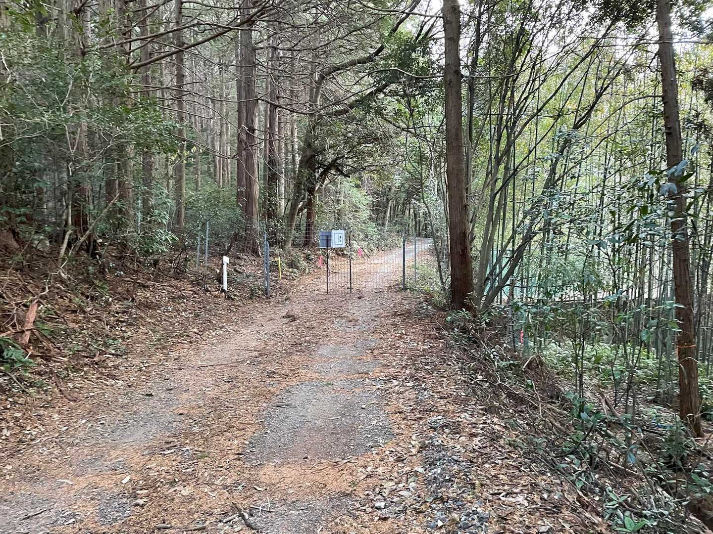 坊ヶ峰-本坂峠 縦走コースの写真