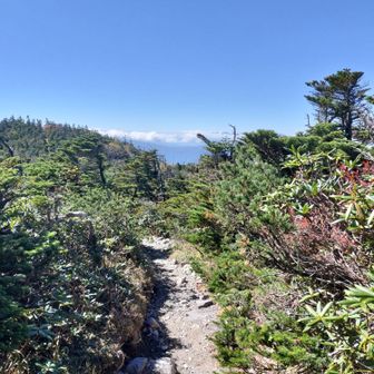 青空と南峰へ戻る道✨️
こんな登山道が大好き😍✨️
