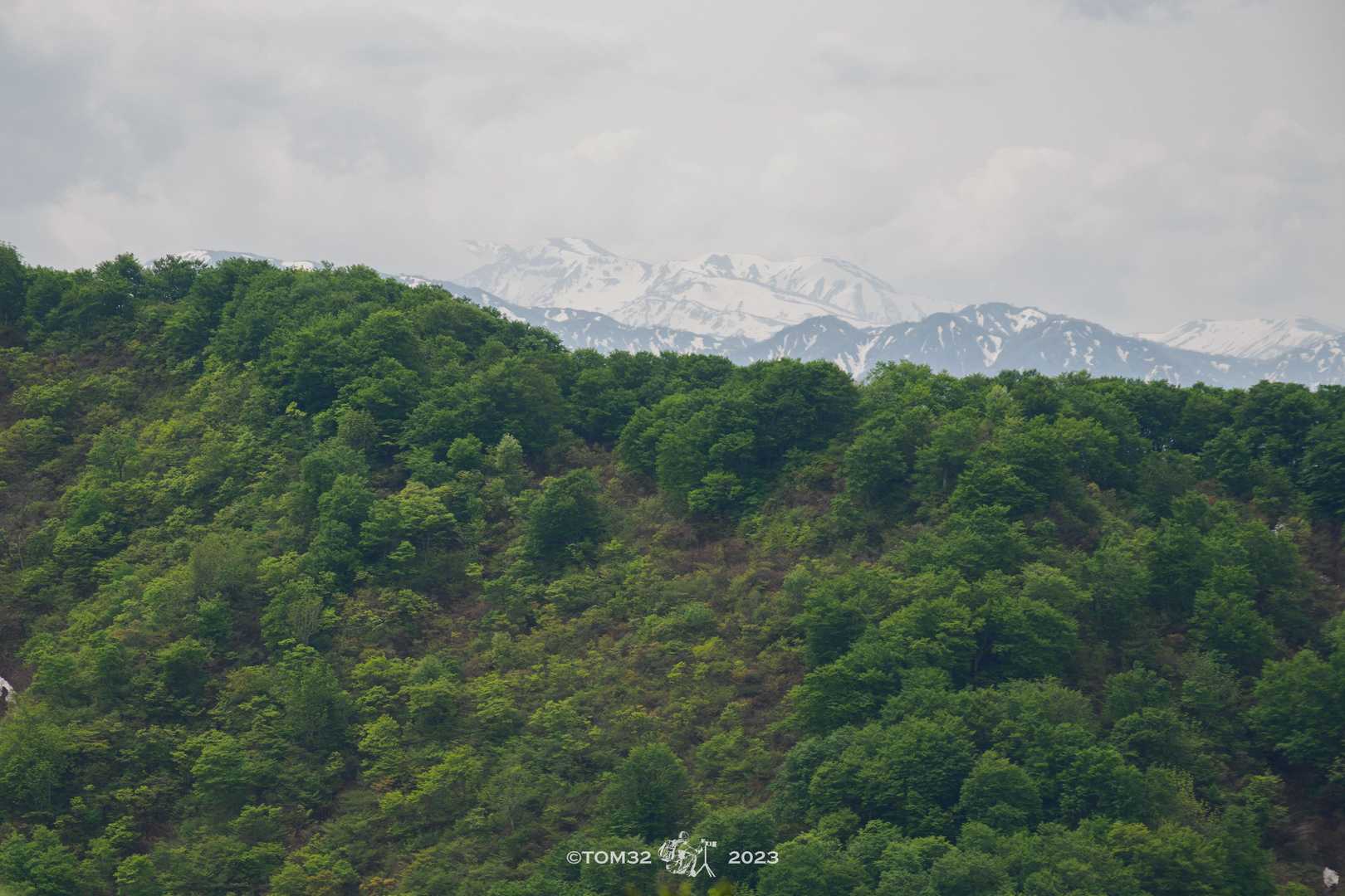 奥医王山の右肩に白山、このあといちばん左端の御前峰は雲に隠れました
