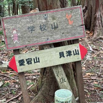 学校山🏫
ホタル学校に因んだ命名でしょうか🤔