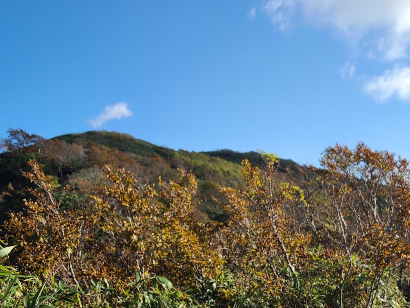 🍁山頂方面
