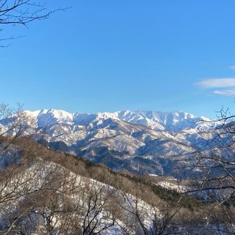 木の葉が落ちたこの時期限定かな