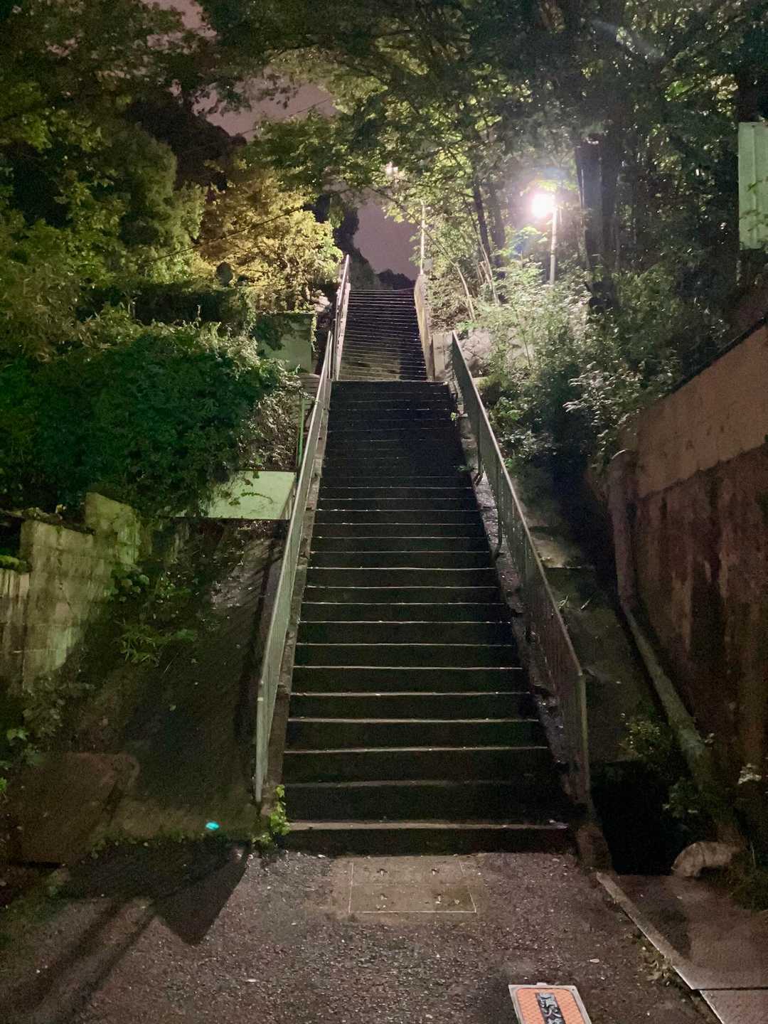 いつも通り手すりを使ってダッシュの練習💨