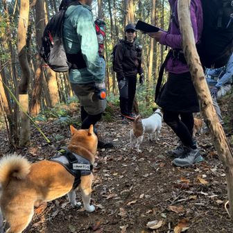 ゆっくりと進み、