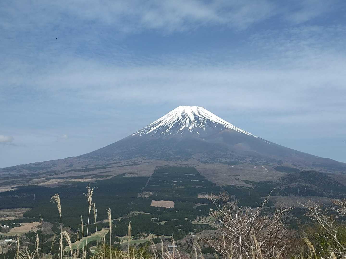 富士山丸見え