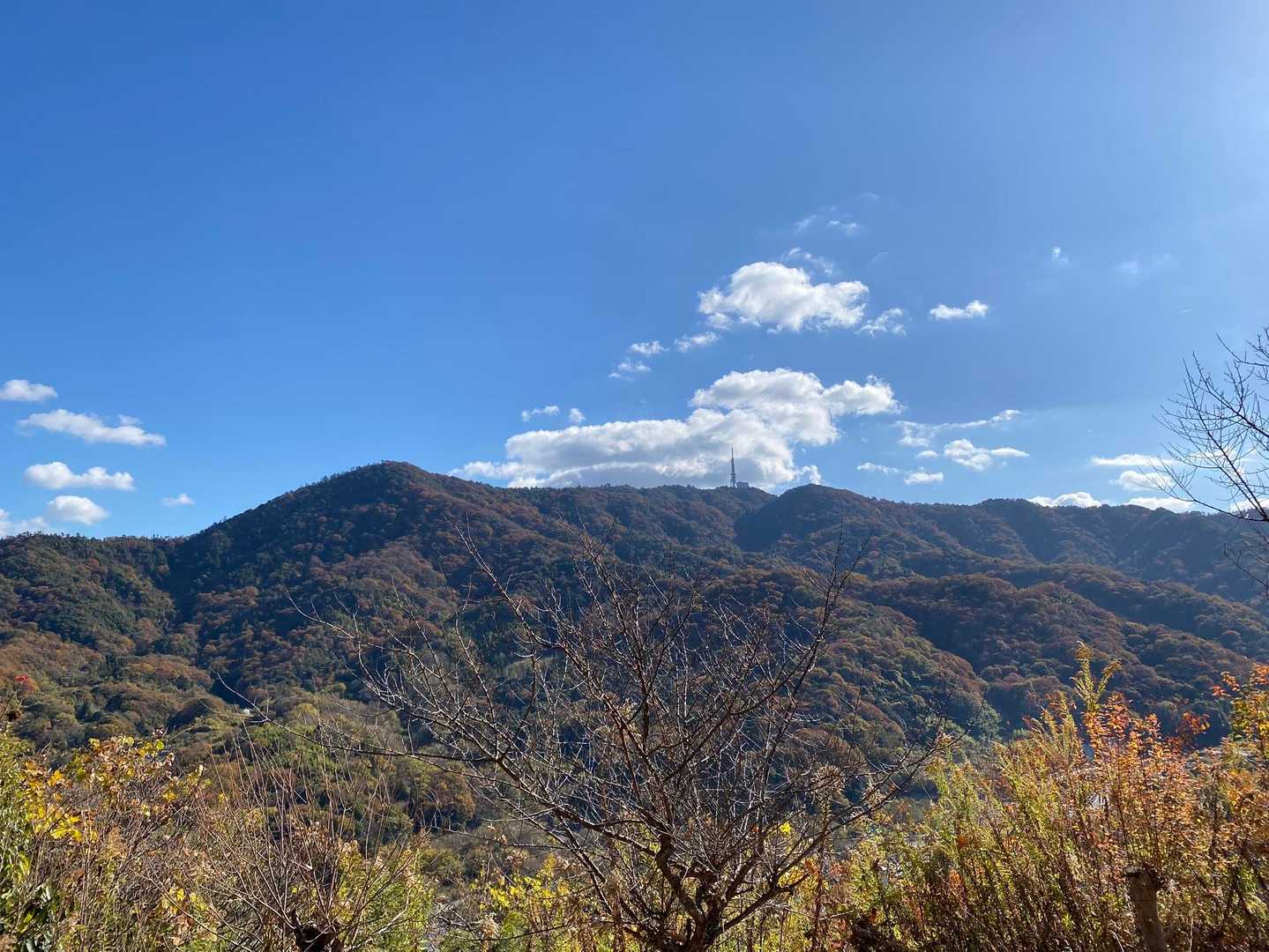 まだ登っていない絵下山