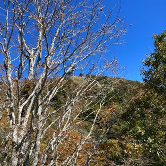 振り返って日出ケ岳