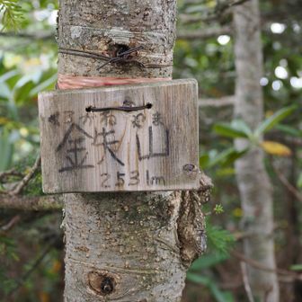 ３つ目登頂。