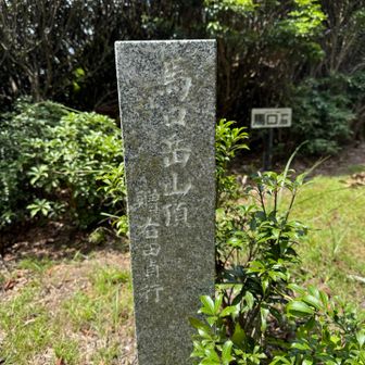 無事馬口山頂に
到着。