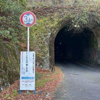 清滝バス停に着いたらバスは出たばかり。次は50分後なので歩くことに。
清滝トンネルは
「12月12日頃からトンネル点検で通行止めになる予定」
え？明日から？？？
「頃から」「予定」となんともアバウトな立て看板やけどバスの運行はどうなるんやろね？それからいつまで？

というわけで愛宕山セブンティthバースデーアニバーサリーは無事終了しました✌️ 


