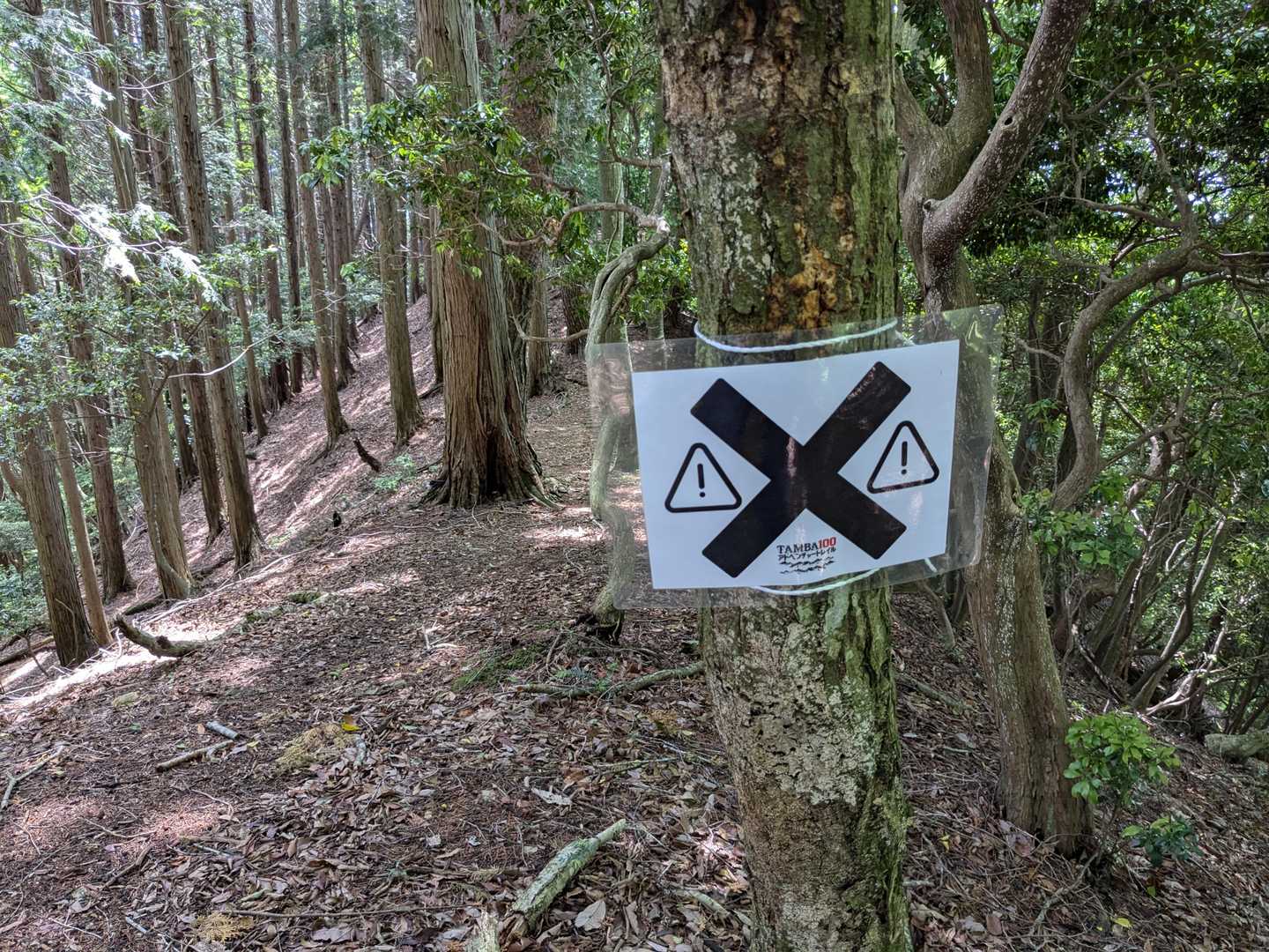 おっと！
ハイキング道に⚠️❌⚠️マーク。
これはトレラン大会用ですね！
大杉ダムへ下山するには、ここを進みます。