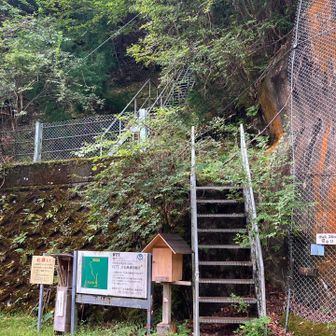 「関西百名山最南端の嶽ノ森山より近いやん！」
と、距離感が最近ブッ壊れ気味🫠
それでも3時間半かかってるんで、全然近くはないですけど😅笑

奈良の秘境・下北山村にある笠捨山登山口の階段からスタート！