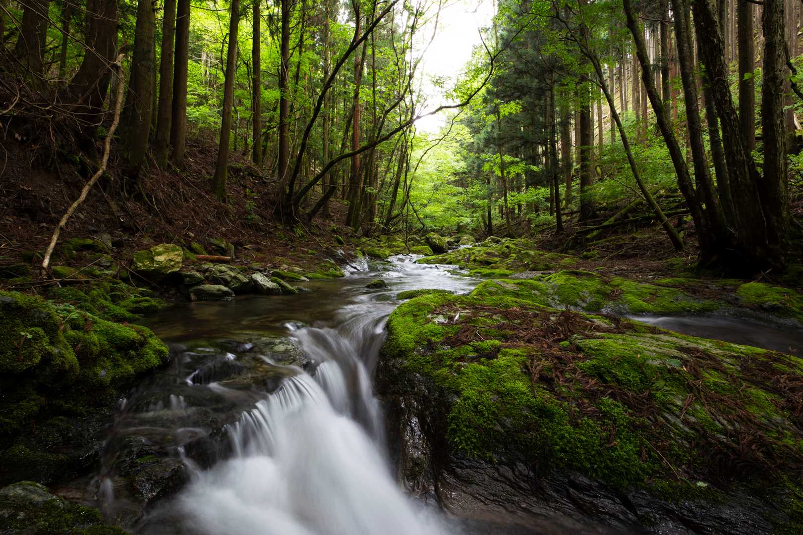 木梶山登山口横の木梶川