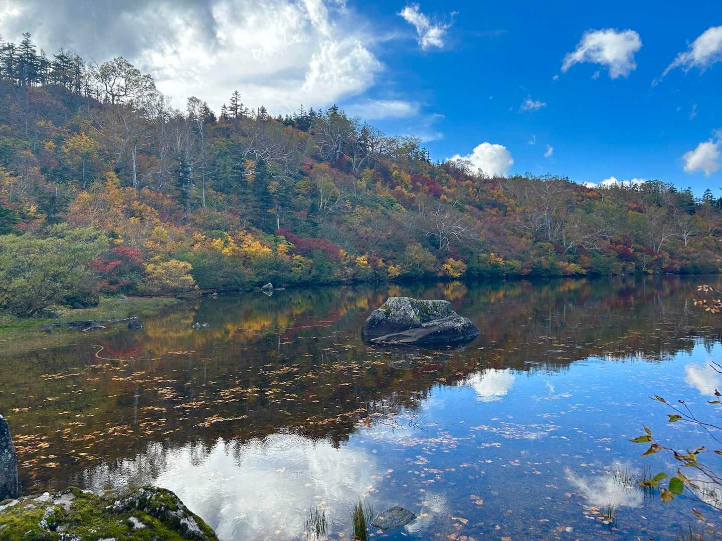 北野口登山口-風吹岳 往復コースの写真