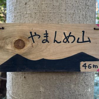 やまんめ山登頂46m
探し物見つかりました🔍
いと◯さんありがとうございます😊